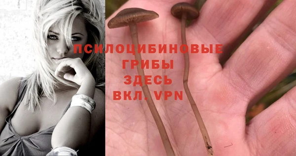 герыч Дмитриев