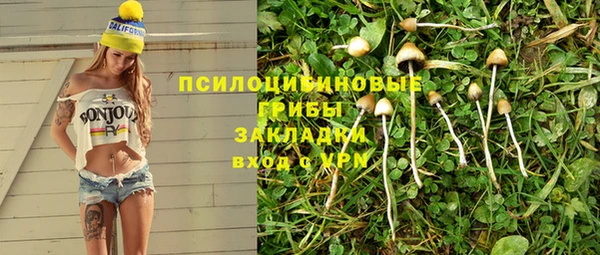 прущий лед Ельня