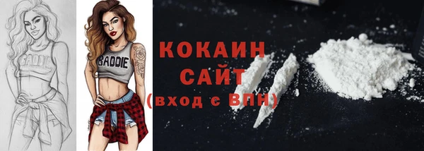прущий лед Ельня