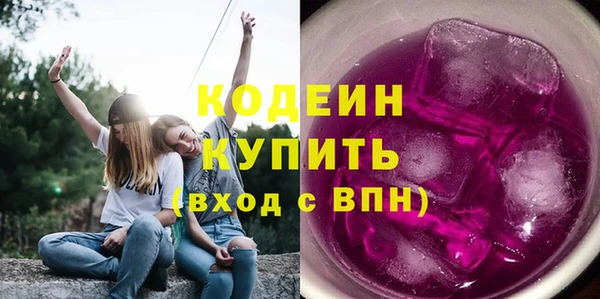 молекула духа Елизово