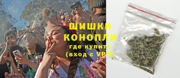 молекула духа Елизово