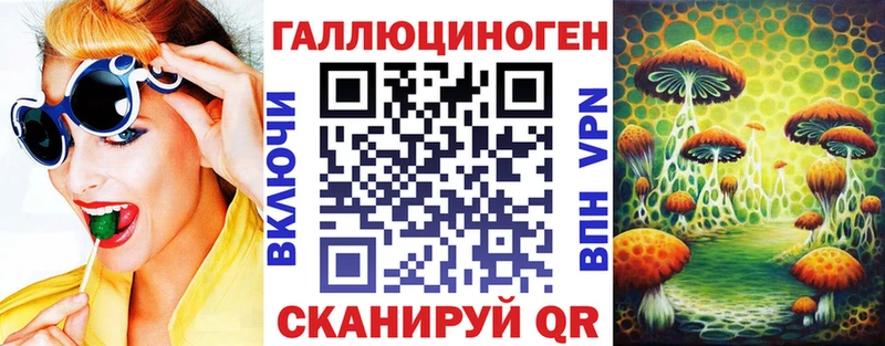 Галлюциногенные грибы Cubensis  Нальчик 